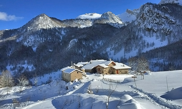 fabriziofea_viviereinverno