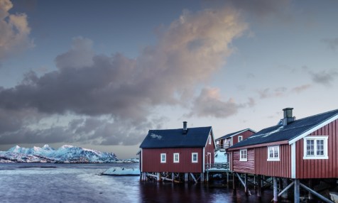 svinoya-rorbuer_L_wouter